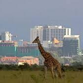 KENYA BEST